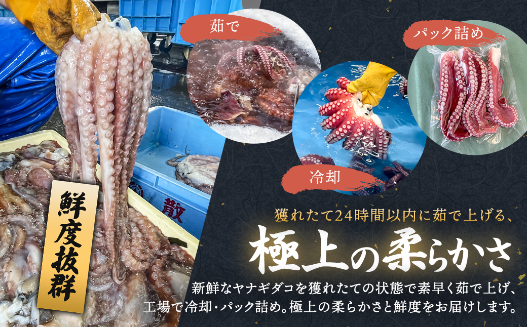 ヤナギダコ500g【産地直送】プリプリ食感 北海道 釧路町 昆布森産【配送不可地域：離島】
