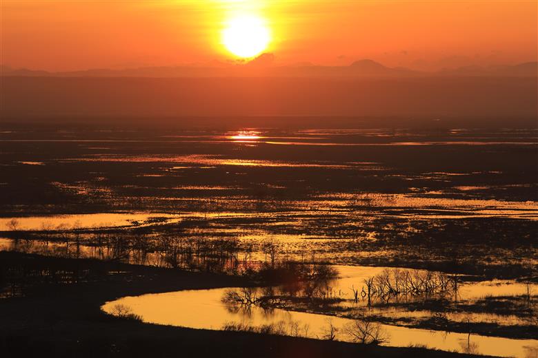 【返礼品なし】釧路湿原を未来へつなぐ自然保護活動支援 返礼品ナシで応援 《1口 1,000円》