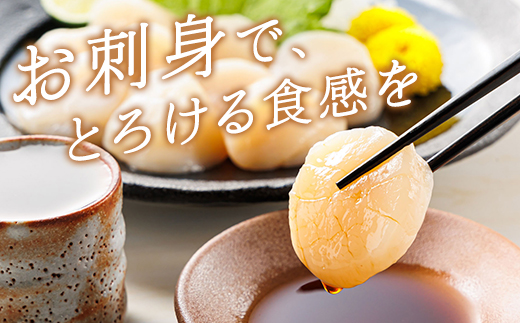 【毎月定期便】北海道産の帆立貝柱を刺身用に小分けに!「ホタテ貝柱」約250g×2コ全11回【配送不可地域：離島】