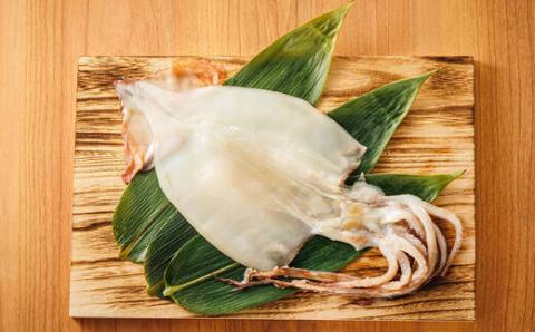 【12/21まで年内発送】北海道産 真いか一夜干し 2杯×4個セット【配送不可地域：離島】