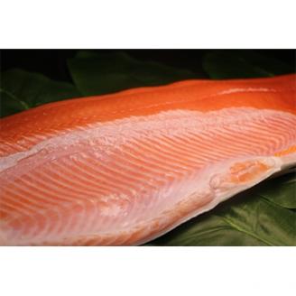 昆布森産限定活〆　トキシラズ(半身 1～1.5kg)＜昆布森沖定置網＞＜2021年6月発送＞【配送不可地域：離島】