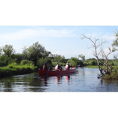 釧路湿原カヌーツーリング　マシュリバレギュラーコース～アフターヌーンカヌー【2名様分】