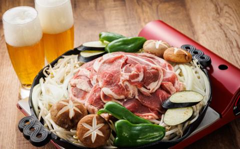 【12/21まで年内発送】羊肉の小分けが嬉しい! ラムスライス 100g×5パック(合計500g)【配送不可地域：離島】