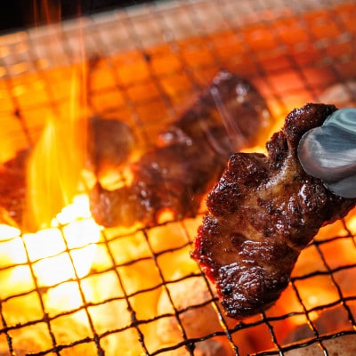 焼肉食材専門店トリプリしおた「北海道産　牛ハラミ」(250g×2パック)【配送不可地域：離島】