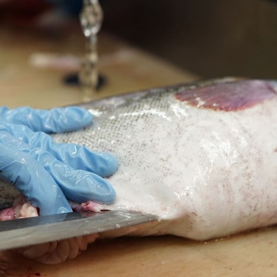 【12/11まで年内発送】お魚の目利きのプロにお任せ!北海道産 天然鮮魚 約500g～1kg【配送不可地域：離島・沖縄県・信越、北陸・東海・近畿・中国・四国・九州】