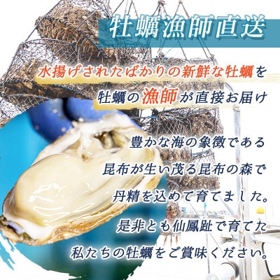 【2026年発送】北海道 仙鳳趾名産 牡蠣 150～199g×24個+かきナイフ付 K3-4【配送不可地域：離島・沖縄県・信越、北陸・東海・近畿・中国・四国・九州】