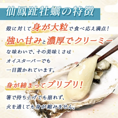 【先行予約】仙鳳趾名産 牡蠣 100～149g×40個+かきナイフ付K4-2【配送不可地域：離島・沖縄県・信越、北陸・東海・近畿・中国・四国・九州】