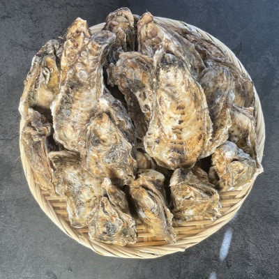 【先行受付】仙鳳趾名産 牡蠣 100g～149g×25個+カキナイフ付　K1-1【配送不可地域：離島・沖縄県・信越、北陸・東海・近畿・中国・四国・九州】