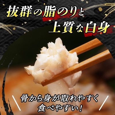 【12/21まで年内発送】厳選したつぼ鯛を一夜干しにした 「つぼ鯛(半身150g)」5個セット【配送不可地域：離島】