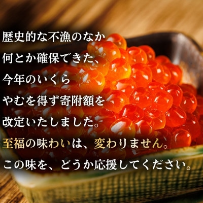【12/21まで年内発送】いくら醤油漬け 500g×1個 ＜北海道産の鮭卵＞【配送不可地域：離島】