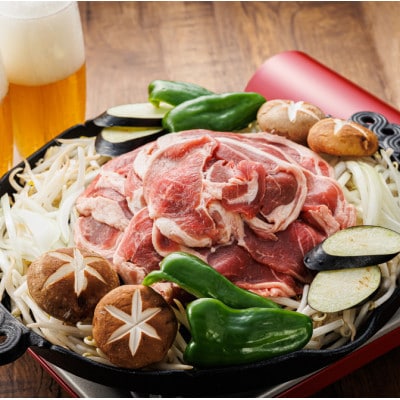 【毎月定期便】ラム肉 スライス 100g×10パック(合計1kg)全6回【配送不可地域：離島】