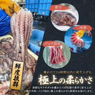 【毎月定期便】ヤナギダコ500g【産地直送】プリプリ食感 北海道 釧路町 昆布森産全9回【配送不可地域：離島】