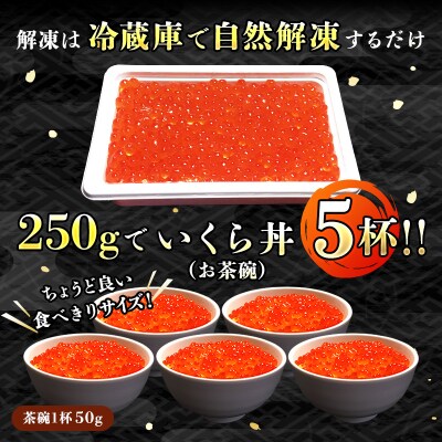 2023年11月発送開始『定期便』いくら醤油漬け 250g ×1個 ＜北海道産の鮭卵＞全6回【配送不可地域：離島】