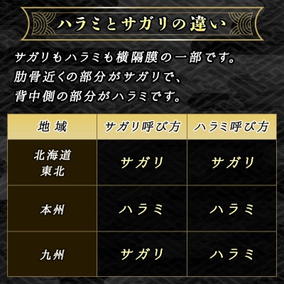 【毎月定期便】北海道産牛肉のみ使用 味付牛サガリ (ハラミ) 1kg 焼肉 BBQにも最適　全3回【配送不可地域：離島】