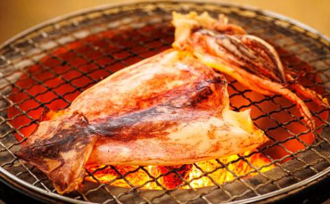 【12/21まで年内発送】北海道産　真いか一夜干し　2杯×2個セット【配送不可地域：離島】