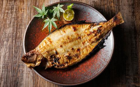 【12/21まで年内発送】＜北海道産＞柳かれいを一夜干しに!「柳かれい一夜干し」2枚×4個セット【配送不可地域：離島】