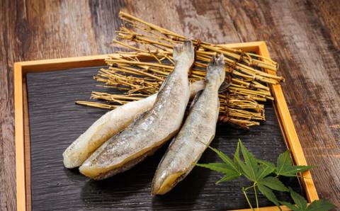 【12/21まで年内発送】＜北海道産＞ 氷下魚(こまい)を一夜干しに「一夜干しこまい」300g×5個【配送不可地域：離島】