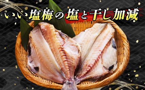 【12/21まで年内発送】厳選したツボダイを一夜干しにした 「つぼ鯛(半身150g)」4個セット【配送不可地域：離島】