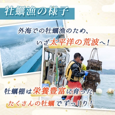 【先行予約】仙鳳趾名産 牡蠣 100～149g×40個+かきナイフ付K4-2【配送不可地域：離島・沖縄県・信越、北陸・東海・近畿・中国・四国・九州】