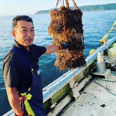 【先行受付】仙鳳趾名産 牡蠣 100g～149g×25個+カキナイフ付　K1-1【配送不可地域：離島・沖縄県・信越、北陸・東海・近畿・中国・四国・九州】