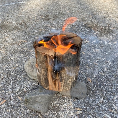 スウェーデントーチ焚き付けセット 5kg 北海道産 広葉樹 薪 キャンプ