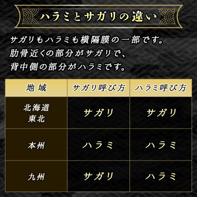 【毎月定期便】北海道産 牛肉のみ使用 味付牛サガリ(牛ハラミ) 1kg(250g×4パック)全12回【配送不可地域：離島】