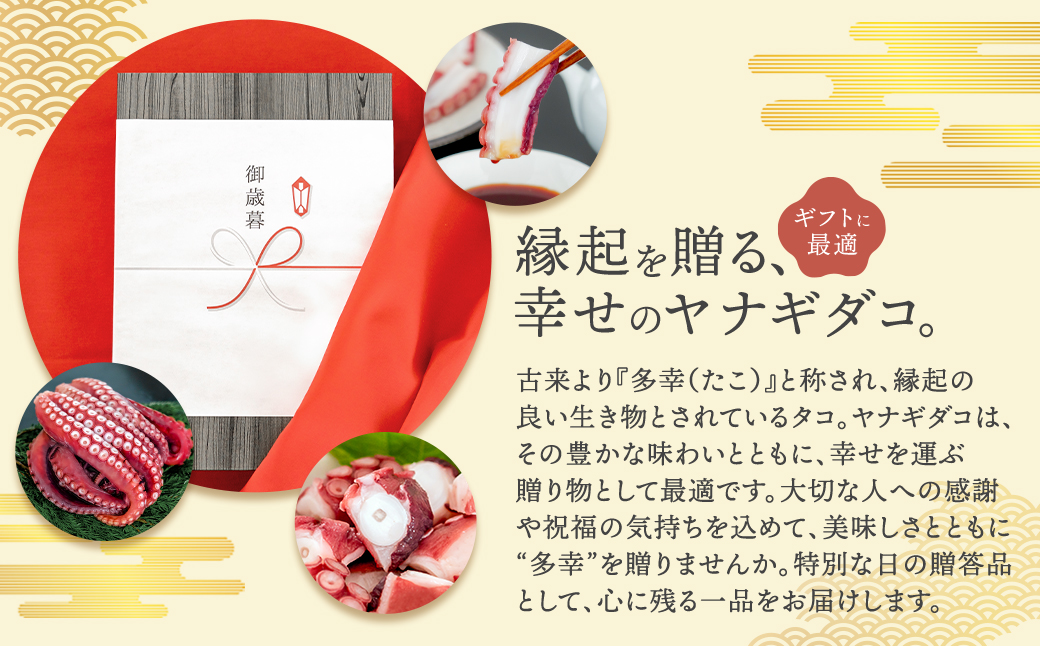 (無地熨斗付き)ヤナギダコ500g【産地直送】プリプリ食感!釧路町昆布森産 噛むたびに広がる多幸の旨【配送不可地域：離島】