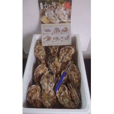 【先行予約】仙鳳趾名産 牡蠣 100～149g×40個+かきナイフ付K4-2【配送不可地域：離島・沖縄県・信越、北陸・東海・近畿・中国・四国・九州】