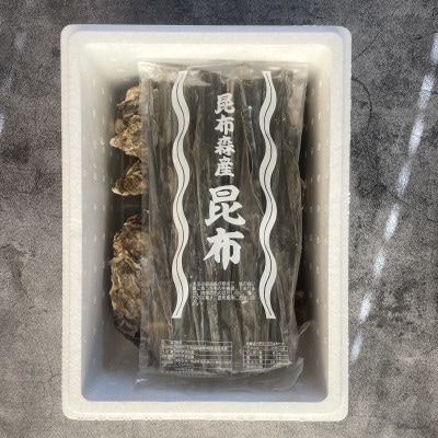 【先行受付】仙鳳趾名産 牡蠣 100g～149g×25個+カキナイフ＆昆布 K1-2【配送不可地域：離島・沖縄県・信越、北陸・東海・近畿・中国・四国・九州】
