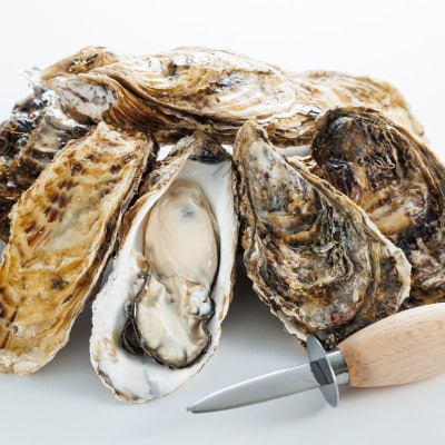 【2026年発送】仙鳳趾名産牡蠣 100g～149g×12コ+かきナイフ付き かき漁師直送 K1-3【配送不可地域：離島・沖縄県・信越、北陸・東海・近畿・中国・四国・九州】