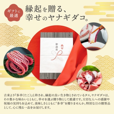 (無地熨斗付き)ヤナギダコ500g【産地直送】プリプリ食感!釧路町昆布森産 噛むたびに広がる多幸の旨【配送不可地域：離島】