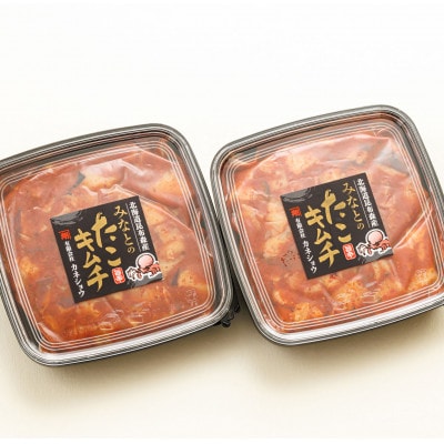 【毎月定期便】みなとのタコキムチ＜北海道釧路町 昆布森産タコ使用＞ 300g×2パック　全12回【配送不可地域：離島】
