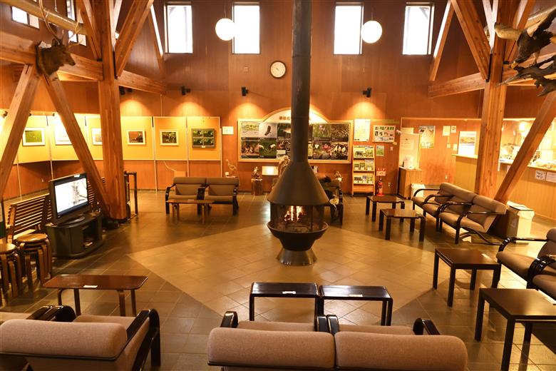 【返礼品なし】釧路湿原を未来へつなぐ自然保護活動支援 返礼品ナシで応援 《1口 1,000円》