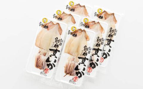 【12/21まで年内発送】北海道産 真いか一夜干し 2杯×6個セット【配送不可地域：離島】