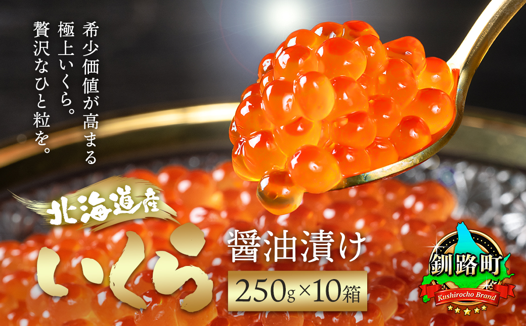 【12/21まで年内発送】いくら醤油漬け 250g ×10個セット ＜北海道産の鮭卵＞【配送不可地域：離島】
