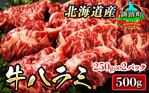 焼肉食材専門店トリプリしおた「北海道産　牛ハラミ」(250g×2パック)【配送不可地域：離島】