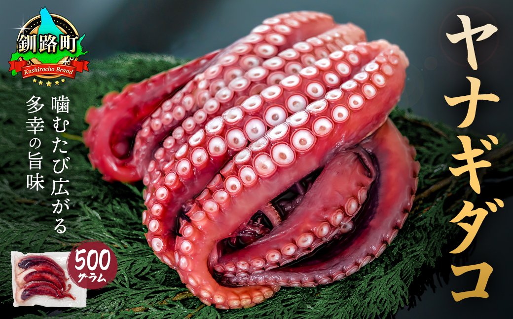 ヤナギダコ500g【産地直送】プリプリ食感 北海道 釧路町 昆布森産【配送不可地域：離島】