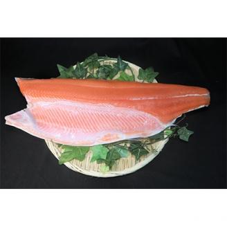 昆布森産限定活〆　トキシラズ(半身 1～1.5kg)＜昆布森沖定置網＞＜2021年6月発送＞【配送不可地域：離島】