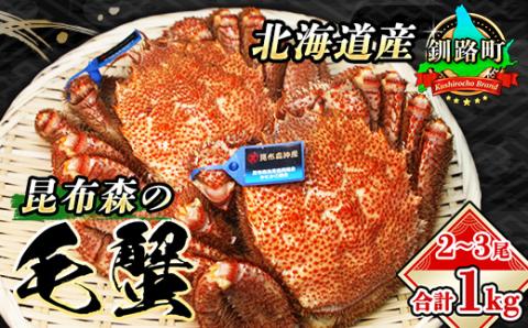 【先行受付】厳冬が旬 北海道産 昆布森 毛蟹 計1kg 2～3尾 冷凍 2026年3月以降発送【配送不可地域：離島】