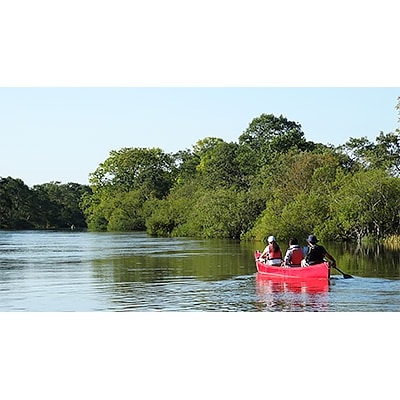 釧路湿原カヌーツーリング　マシュリバレギュラーコース～アフターヌーンカヌー【2名様分】