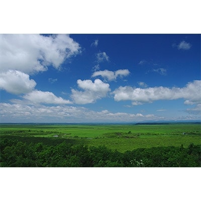 観光タクシー　細岡大観望から釧路川を観る【2時間コース】利用券1枚(定員4名分)