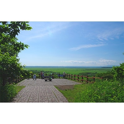 観光タクシー 細岡大観望【2時間コース】利用券1枚(定員4名分)