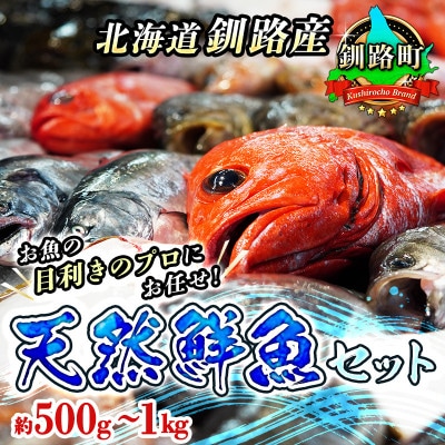 【12/11まで年内発送】お魚の目利きのプロにお任せ!北海道産 天然鮮魚 約500g～1kg【配送不可地域：離島・沖縄県・信越、北陸・東海・近畿・中国・四国・九州】