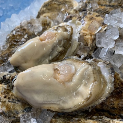 【先行受付】仙鳳趾名産 牡蠣 100g～149g×25個+カキナイフ＆昆布 K1-2【配送不可地域：離島・沖縄県・信越、北陸・東海・近畿・中国・四国・九州】