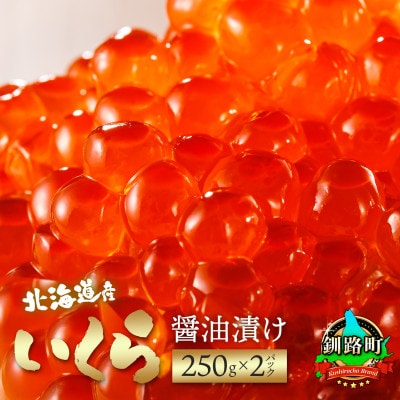 【12/21まで年内発送】いくら醤油漬け(250g×2パック 500g)×3箱 北海道産の鮭卵【配送不可地域：離島】