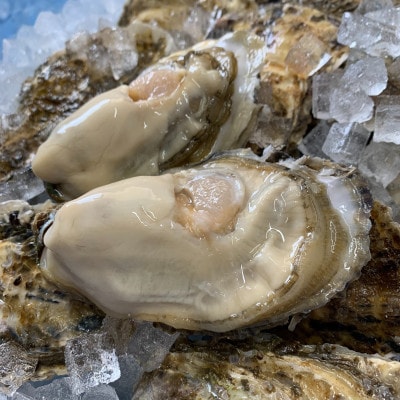 【2026年発送】仙鳳趾名産牡蠣 150g～199g×25コ+かきナイフ付き かき漁師直送 K1-7【配送不可地域：離島・沖縄県・信越、北陸・東海・近畿・中国・四国・九州】