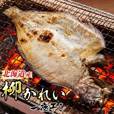 【12/21まで年内発送】北海道産　柳かれい一夜干し　1尾×3個セット【配送不可地域：離島】