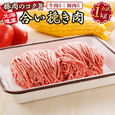 【毎月定期便】北海道産 合い挽き肉 合計1kg(牛5:豚5)豚肉のコク旨ひき肉全9回【配送不可地域：離島】