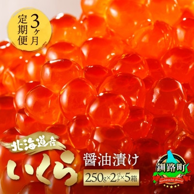 【毎月定期便】いくら醤油漬け(250g×2パック 500g)×5箱 北海道産の鮭卵全3回【配送不可地域：離島】