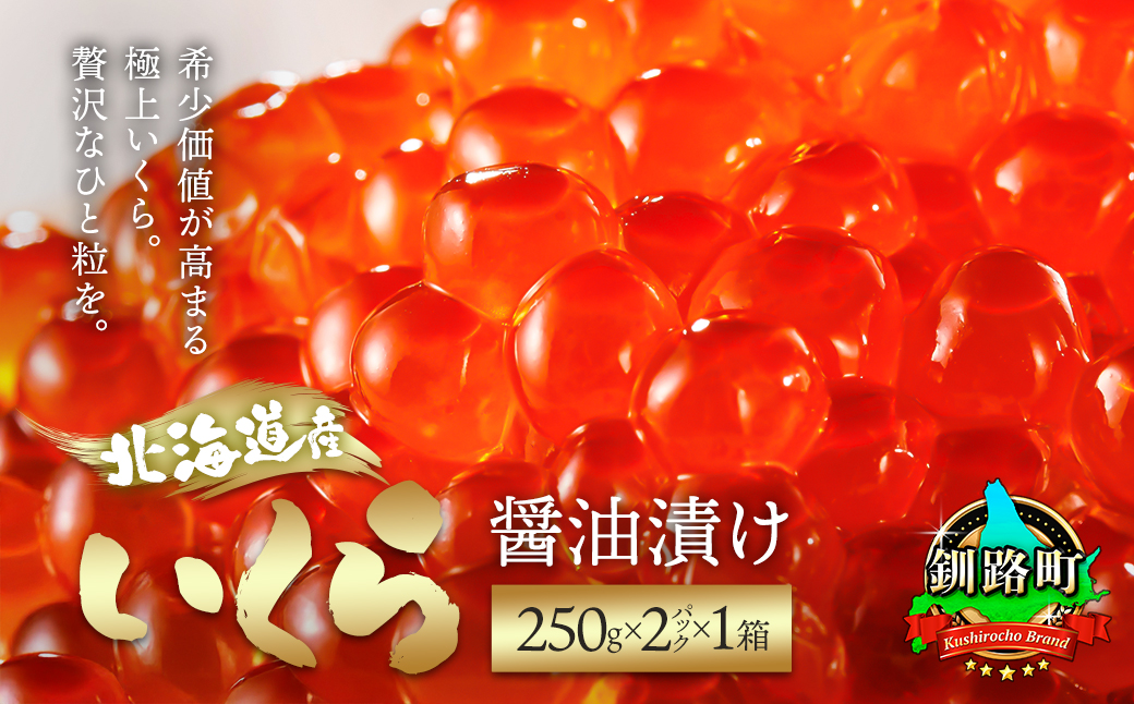 【12/21まで年内発送】いくら醤油漬け ＜250g×2パック 500g＞×1箱 北海道産の鮭卵【配送不可地域：離島】